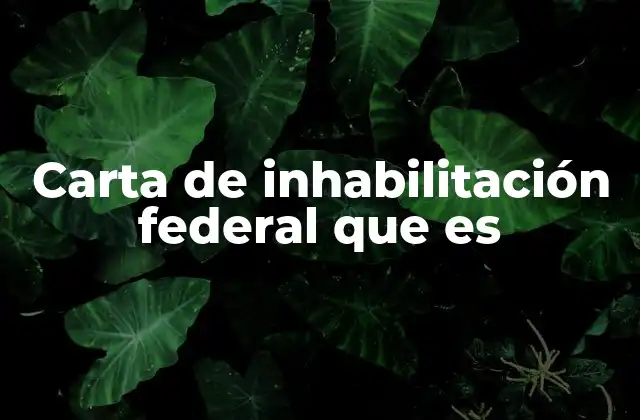 Carta de Inhabilitación Federal que es