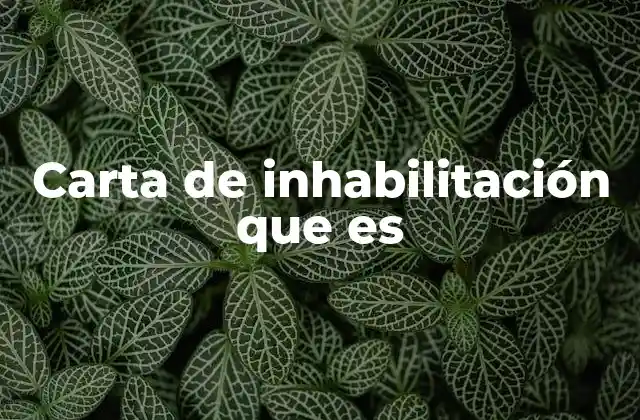Carta de Inhabilitación que es