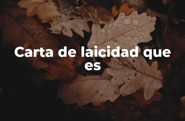 Carta de Laicidad que es
