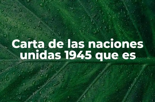 Carta de las Naciones Unidas 1945 que es