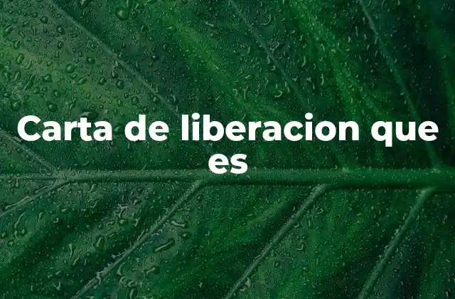 Carta de Liberacion que es