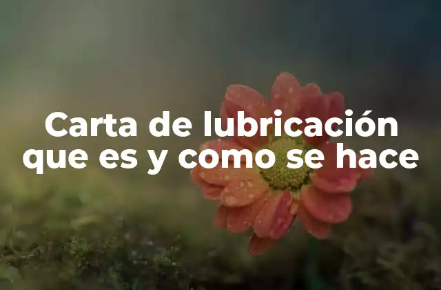 Carta de Lubricación que es y como Se Hace