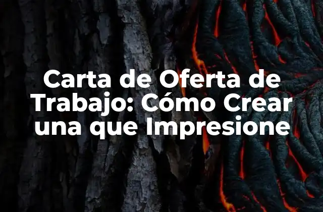Carta de Oferta de Trabajo: Cómo Crear una que Impresione