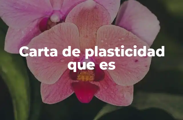 La importancia de los límites de plasticidad en la ingeniería civil