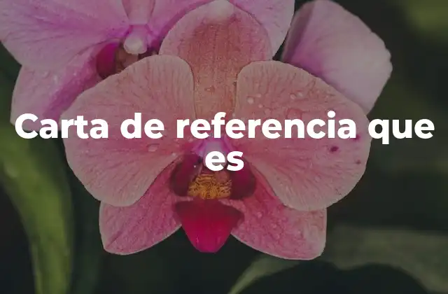 La importancia de una carta de referencia en contextos profesionales y académicos