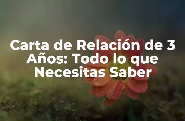 Carta de Relación de 3 Años: Todo Lo que Necesitas Saber
