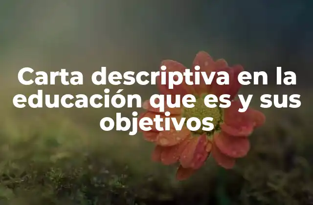 Carta Descriptiva en la Educación que es y Sus Objetivos