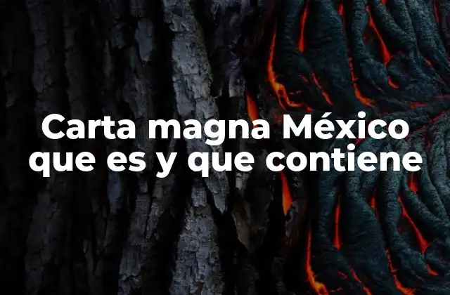 Carta Magna México que es y que Contiene