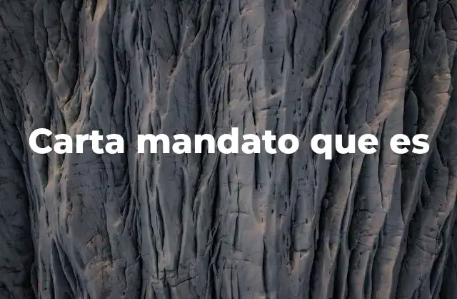 Carta Mandato que es