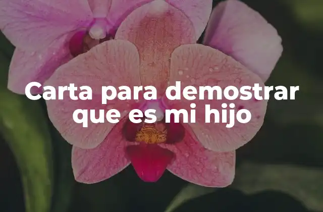 Carta para Demostrar que es Mi Hijo