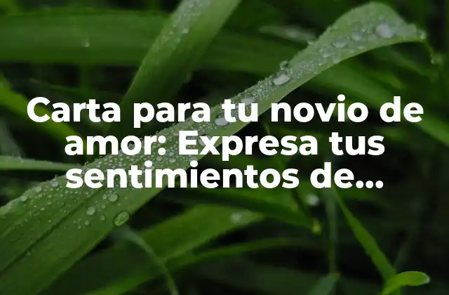 Carta para Tu Novio de Amor: Expresa Tus Sentimientos de Manera Especial