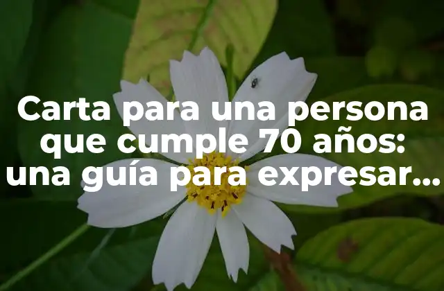 Carta para una Persona que Cumple 70 Años: una Guía para Expresar Tus Sentimientos