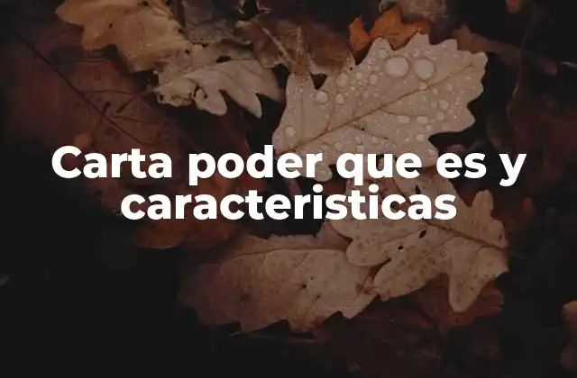 Carta Poder que es y Caracteristicas