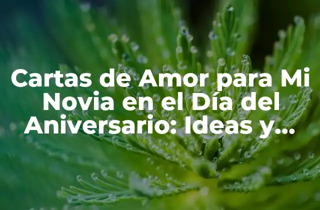 Cartas de Amor para Mi Novia en el Día Del Aniversario: Ideas y Ejemplos