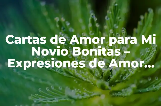 Cartas de Amor para Mi Novio Bonitas – Expresiones de Amor Eternas