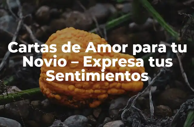 Cartas de Amor para Tu Novio – Expresa Tus Sentimientos