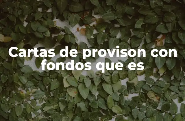 Cartas de Provison con Fondos que es