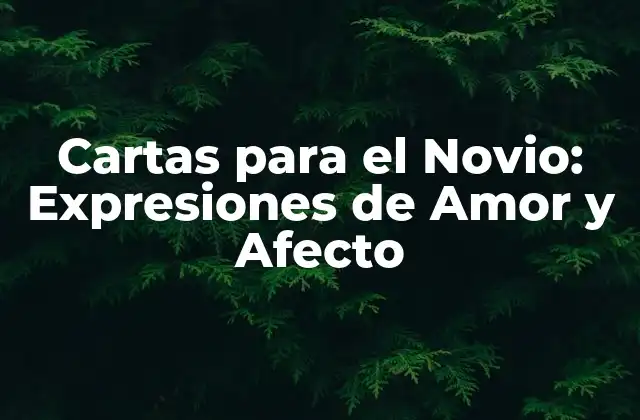 Cartas para el Novio: Expresiones de Amor y Afecto 2 ¿Por qué Cartas para el Novio son Tan Especiales?