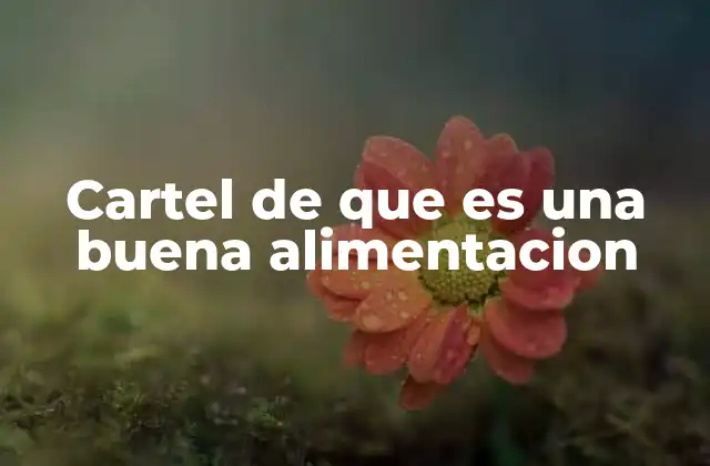 Cartel de que es una Buena Alimentacion