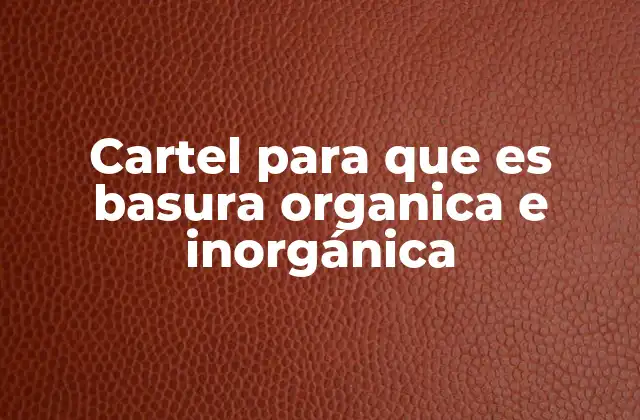 Cartel para que es Basura Organica e Inorgánica