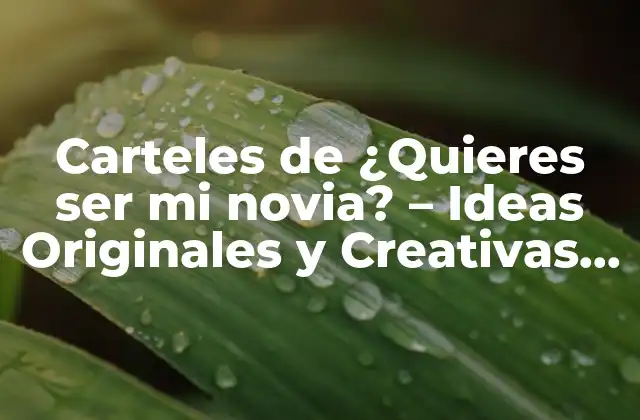 Carteles de ¿quieres Ser Mi Novia? – Ideas Originales y Creativas para Tu Propuesta