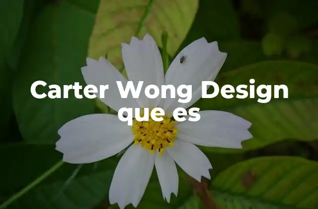 Carter Wong Design que es 2 El enfoque detrás de Carter Wong Design