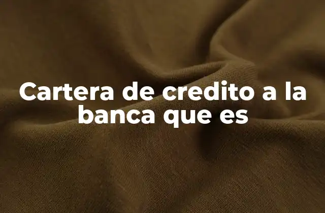 Cartera de Credito a la Banca que es