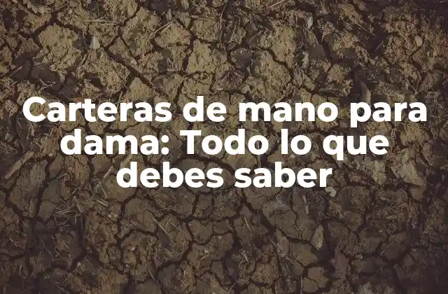Carteras de Mano para Dama: Todo Lo que Debes Saber