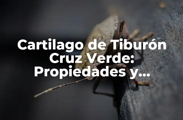 Cartilago de Tiburón Cruz Verde: Propiedades y Beneficios 2 Orígenes y Composición del Cartilago de Tiburón Cruz Verde