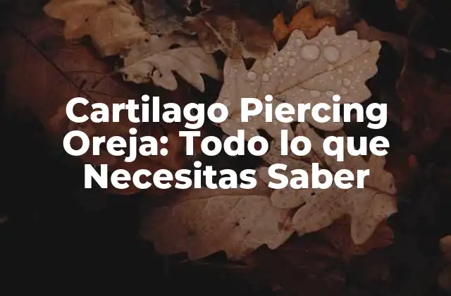 Cartilago Piercing Oreja: Todo Lo que Necesitas Saber