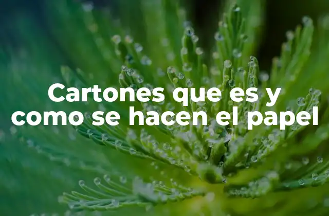 Cartones que es y como Se Hacen el Papel