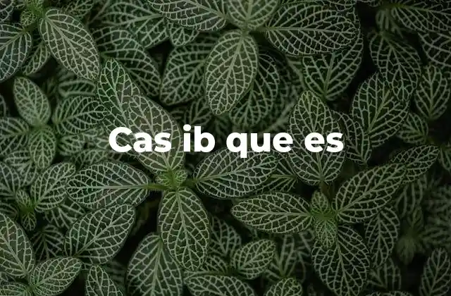 Cas Ib que es