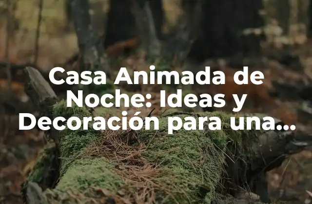 Casa Animada de Noche: Ideas y Decoración para una Fiesta Inolvidable