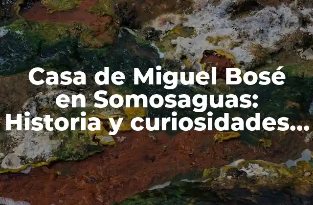 Casa de Miguel Bosé en Somosaguas: Historia y Curiosidades de la Legendaria Vivienda