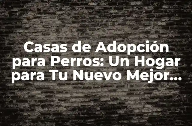 Casas de Adopción para Perros: un Hogar para Tu Nuevo Mejor Amigo