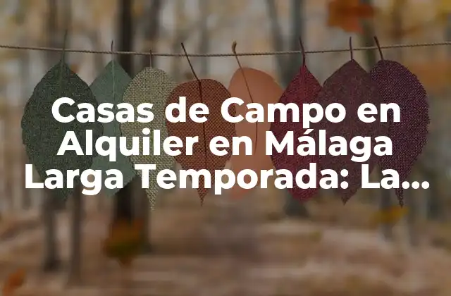 Casas de Campo en Alquiler en Málaga Larga Temporada: la Mejor Opción para Disfrutar Del Campo Andaluz