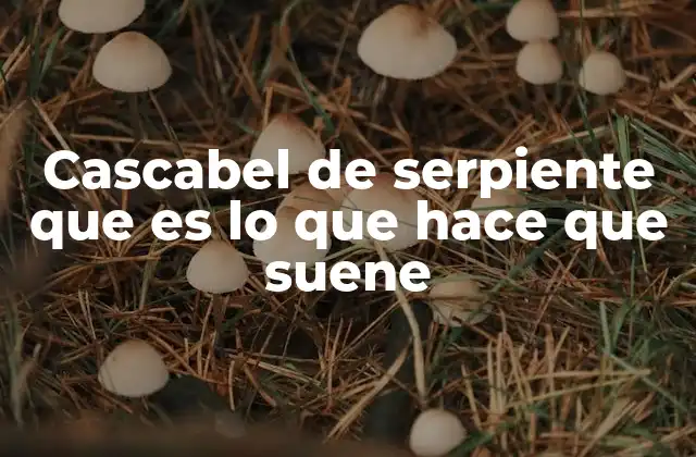 Cascabel de Serpiente que es Lo que Hace que Suene