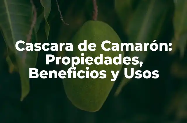 Cascara de Camarón: Propiedades, Beneficios y Usos 2 Propiedades Nutricionales de la Cascara de Camarón