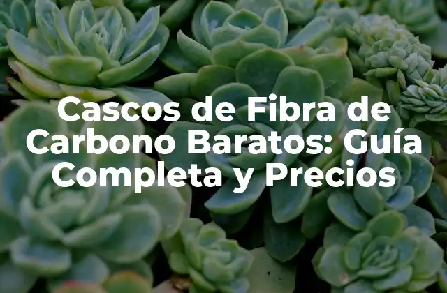 Cascos de Fibra de Carbono Baratos: Guía Completa y Precios
