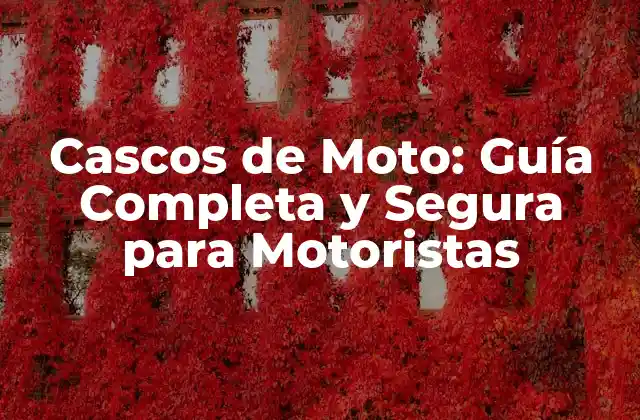 Cascos de Moto: Guía Completa y Segura para Motoristas