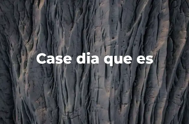 Case Dia que es 2 El rol del case dia en la infraestructura tecnológica