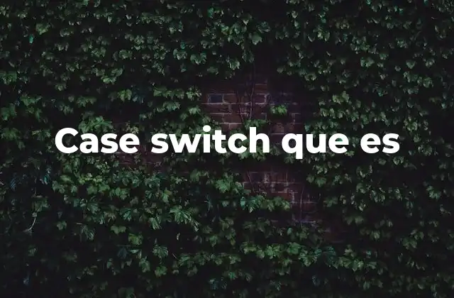 Case Switch que es