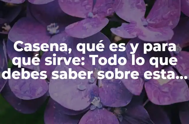 Casena, Qué es y para Qué Sirve: Todo Lo que Debes Saber sobre Esta Proteína Esencial