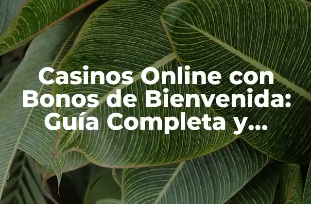Casinos Online con Bonos de Bienvenida: Guía Completa y Actualizada