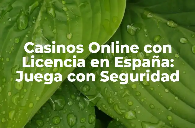 Casinos Online con Licencia en España: Juega con Seguridad