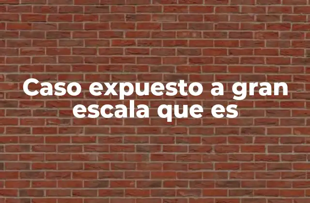 Caso Expuesto a Gran Escala que es