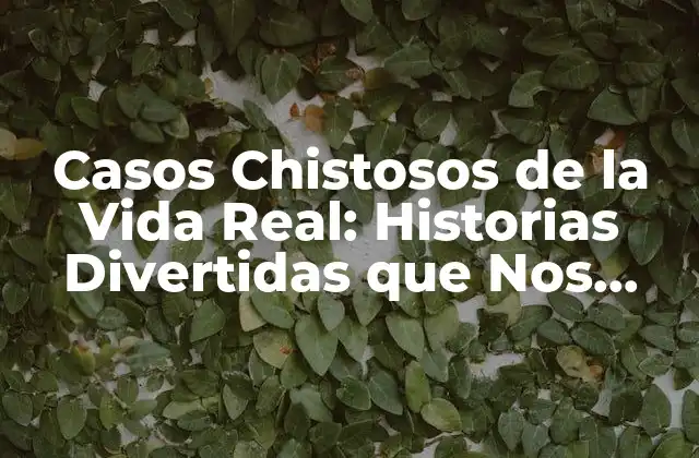 Casos Chistosos de la Vida Real: Historias Divertidas que Nos Hacen Reír