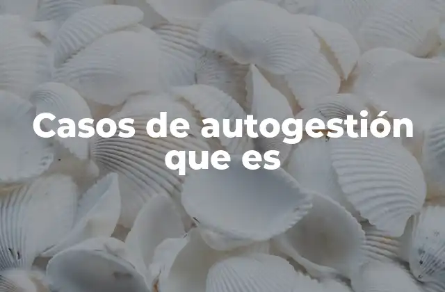 Casos de Autogestión que es