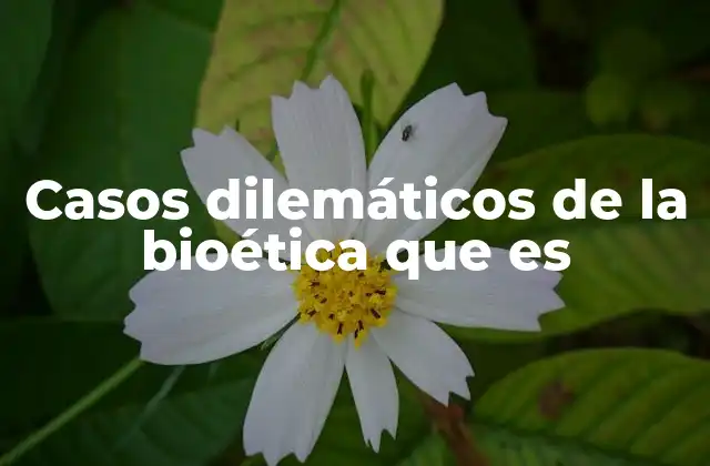 Casos Dilemáticos de la Bioética que es