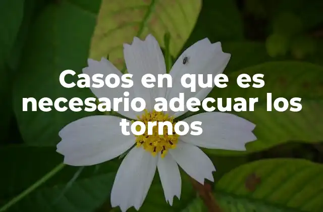 Escenarios industriales que exigen la adecuación de tornos